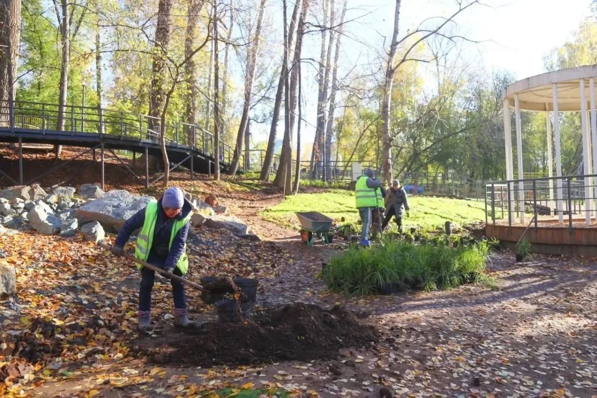 В Берёзовой роще - не только берёзы В Берёзовой роще - не только берёзы
