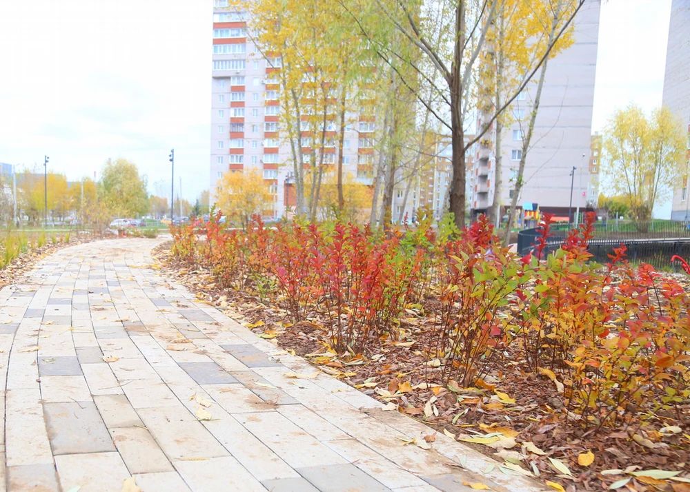 В «Ива-парке» в Ижевске высаживают клены, рябины и яблони В «Ива-парке» в Ижевске высаживают клены, рябины и яблони