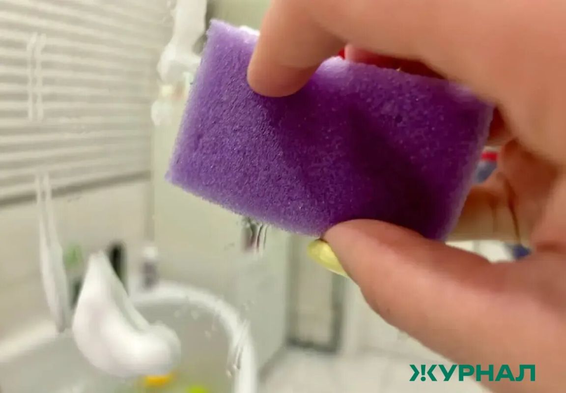 Старые губки — на пользу цветам: простой способ защитить растения от лишней влаги