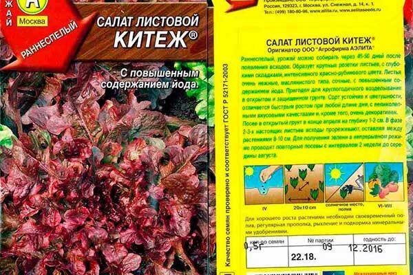 Салат Китеж: идеальный выбор для огородников и гурманов