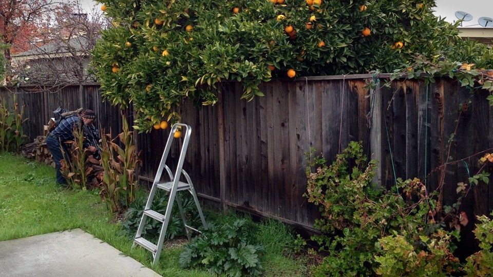 ����� ������ ���� ��� �������� �� ��� ����? ��� �������� ���� ����� �� ��������