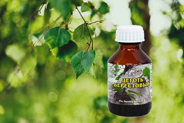 ����������� �������� ��������: ��� �������� ����� �������� ������� �� ����������