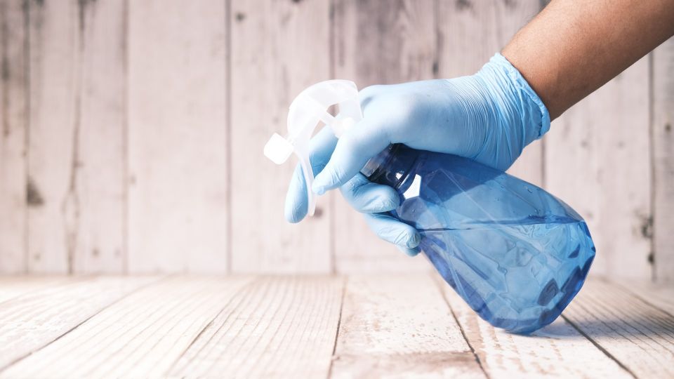 ���� ����� ������ ������� � ��� �����: �������� � ���� ���� ������� ��������