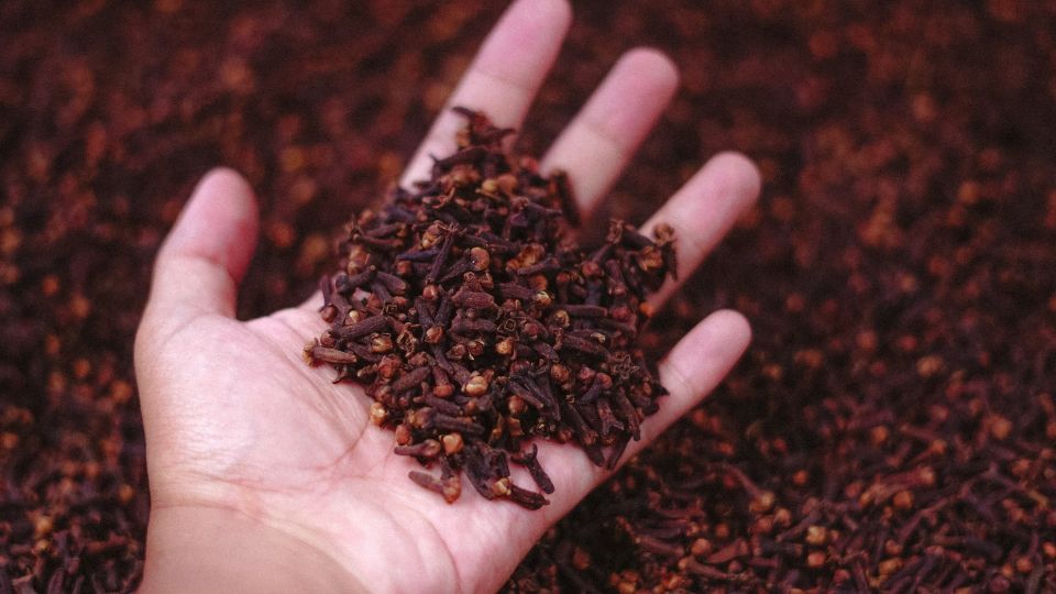 Мудрые хозяйки неспроста скупают сушеную гвоздику: используют вовсе не для готовки
