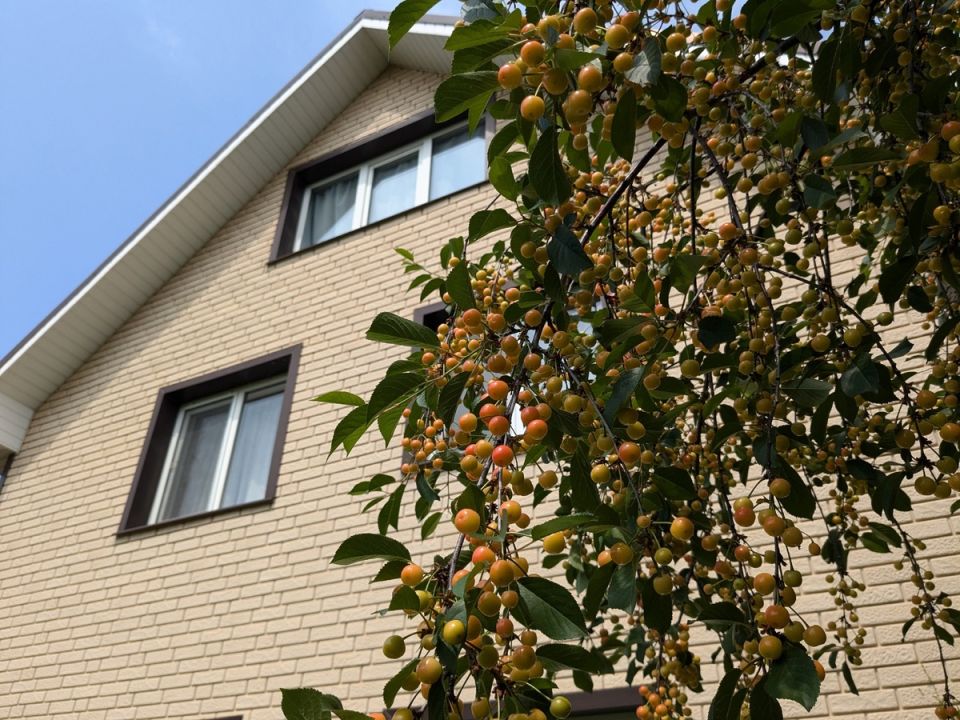 ������� ������� ������: ������������ ����������� � ���� ������