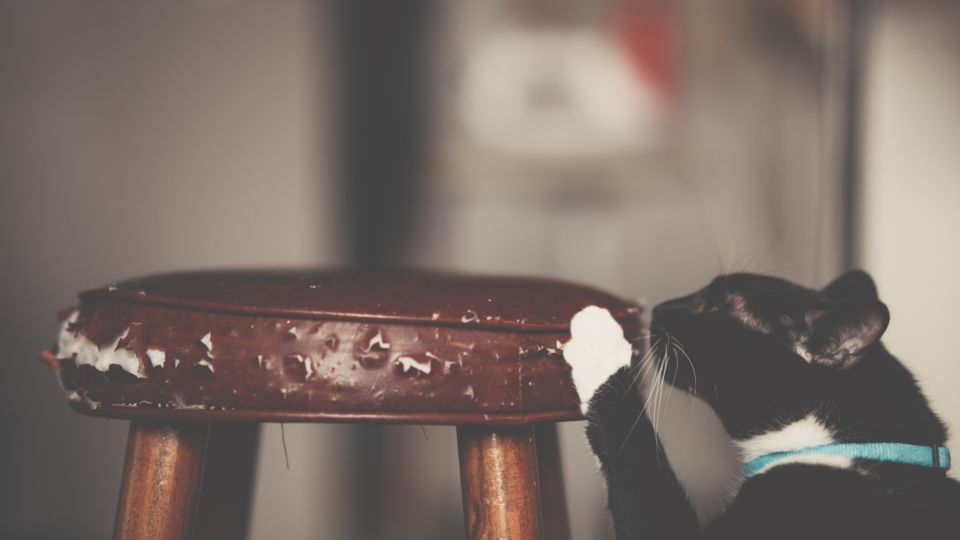 ������������ ���������� ������ ����� ��� �����: ������� �� ������, � ������ � �����