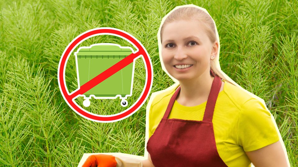 ���� ������ ������ ������� ���������� �� ���������� �� ����: �� ������� �����������