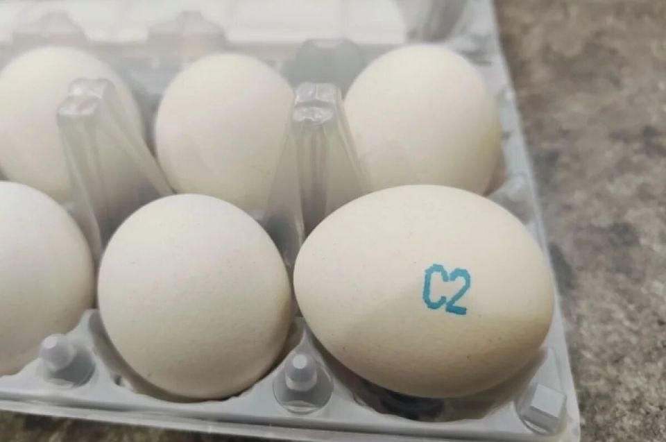 ������ �� ���������������� �� �������� ��������� � ������������