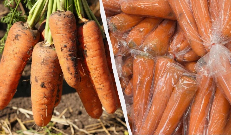 ��� ��������� ������� ������ �� ����� �����: ������� ��������