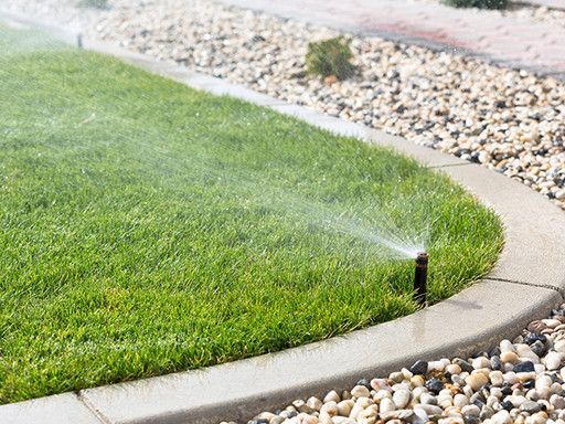 ��� ���������� ����������� ������ ���� ����������� � ���������