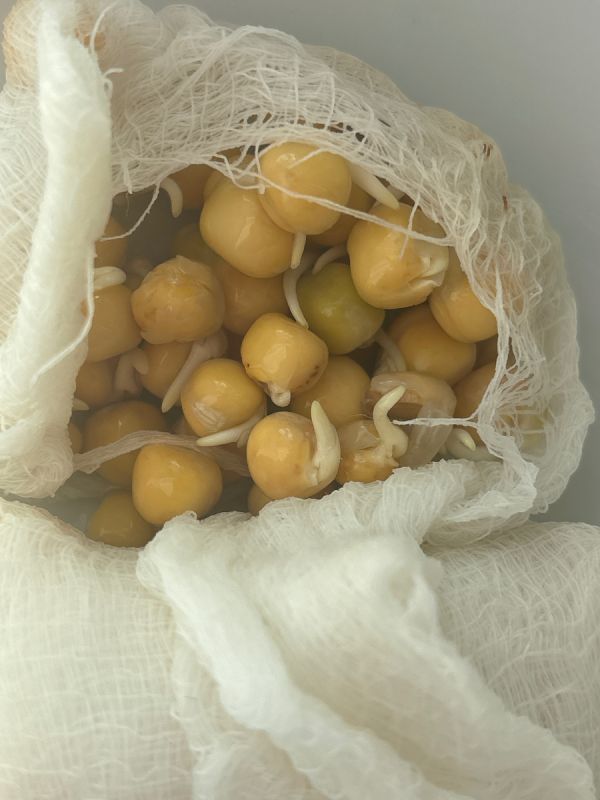 �������: ����� ������ �� ������ ��������