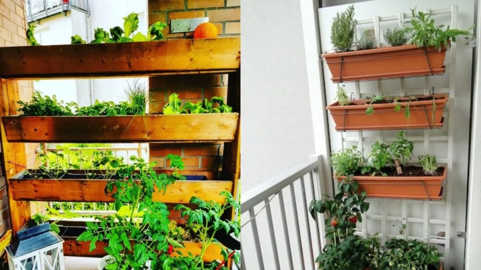 ��� ������������ ������ �������� ������ � ����������� ������ �� �������