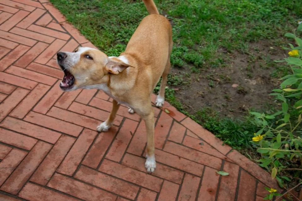 ������� ���: ������� �����, ������� ����� ������ ��������