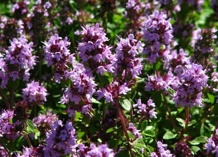 ������: ��� ������ �������� � ���� � �� �����