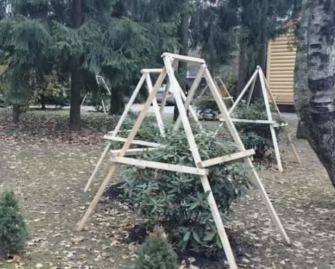 ��� ������� ��������� ������ ��� ������� ������� ��������: ������ � ����