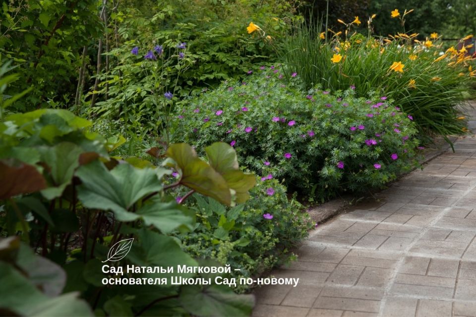 Волшебство цветников без сложностей