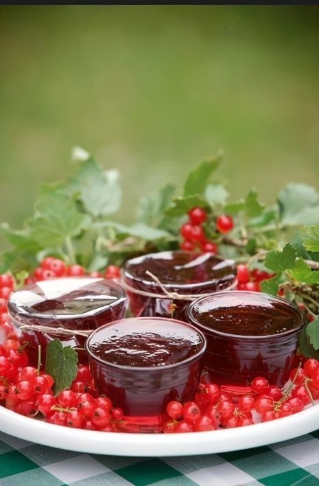 Как приготовить восхитительное желе из красной смородины