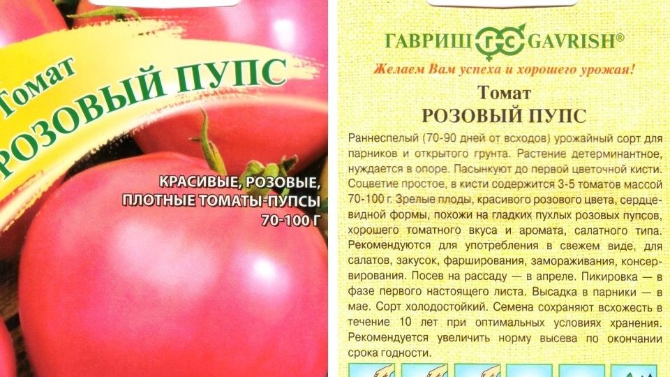 �� ����������: ��� ������� ����� ����� �������� ���������