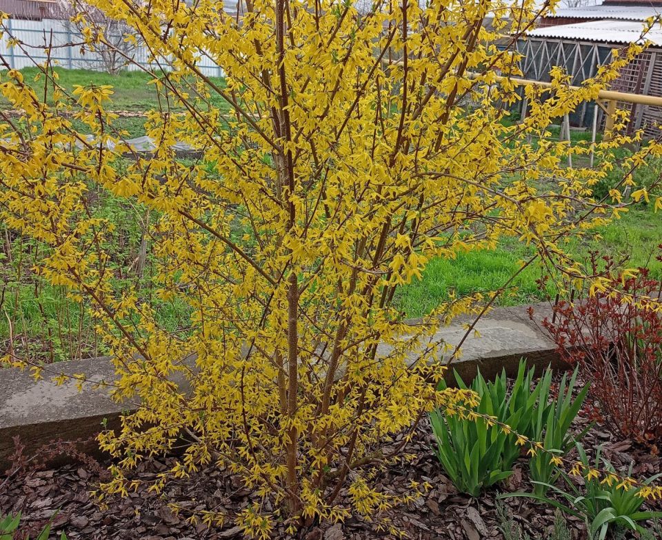 ��������: ���������� ����� � ����� ����