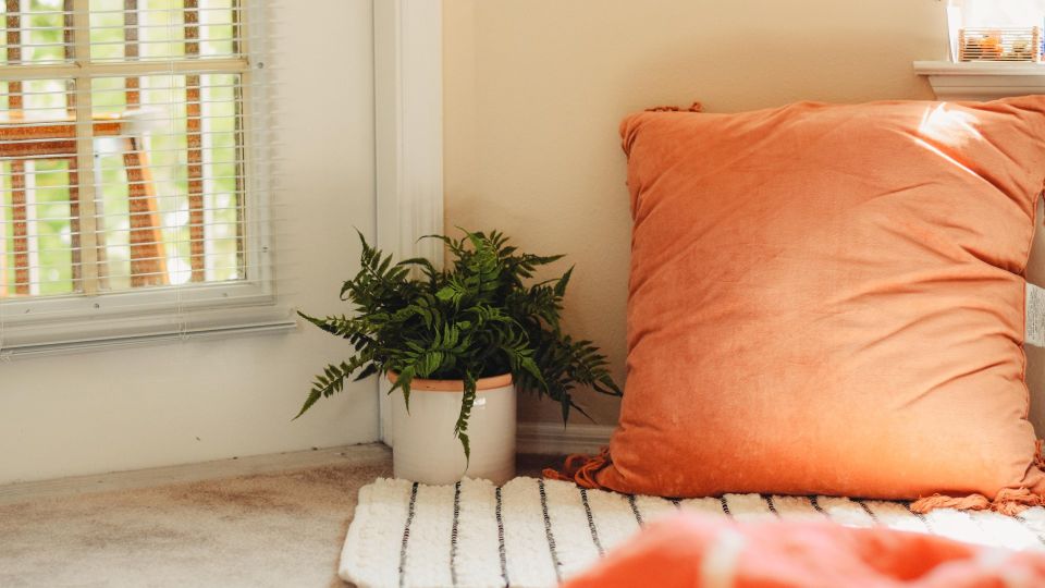 �������� ���� ��� �����: ��������� ������ ���� ������ �� ��������