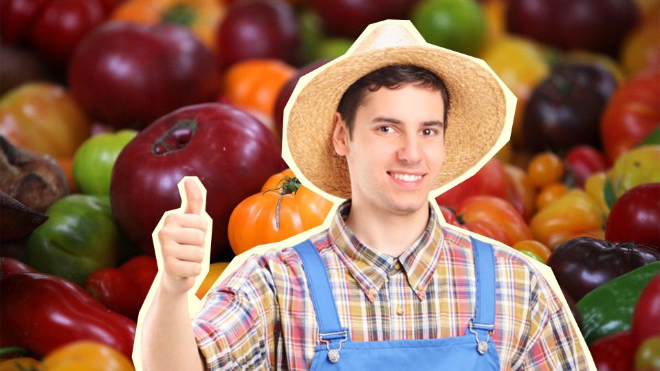 ������ ������ ����� ������: ���� � ����� ������� ��� �������� ������ ��� �� �������