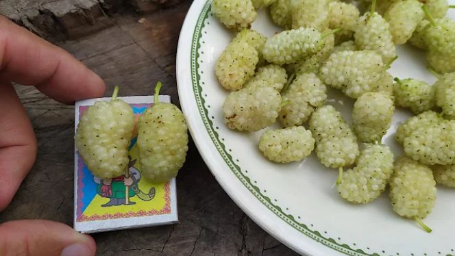 ������������ ����� ���������: ��� �������� ������ ��� ����������� ������