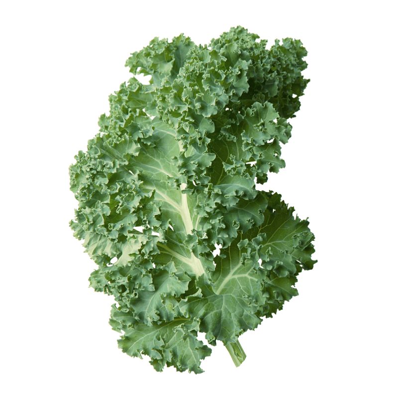 ���-���� �� ������� � ������� ����: ���������� �������� � ������ �����