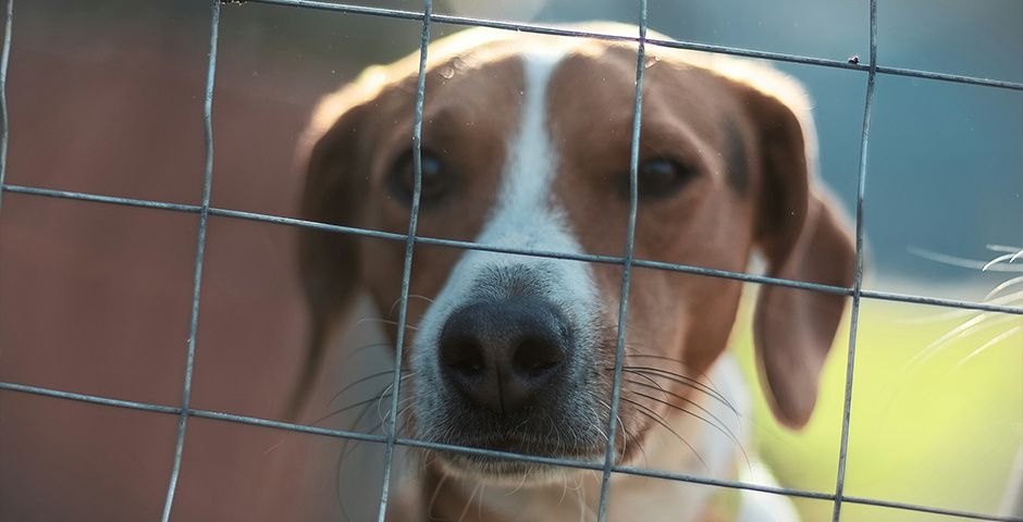 ������������� �� ������������ ������������ � ����������� �������� � �������� ����������