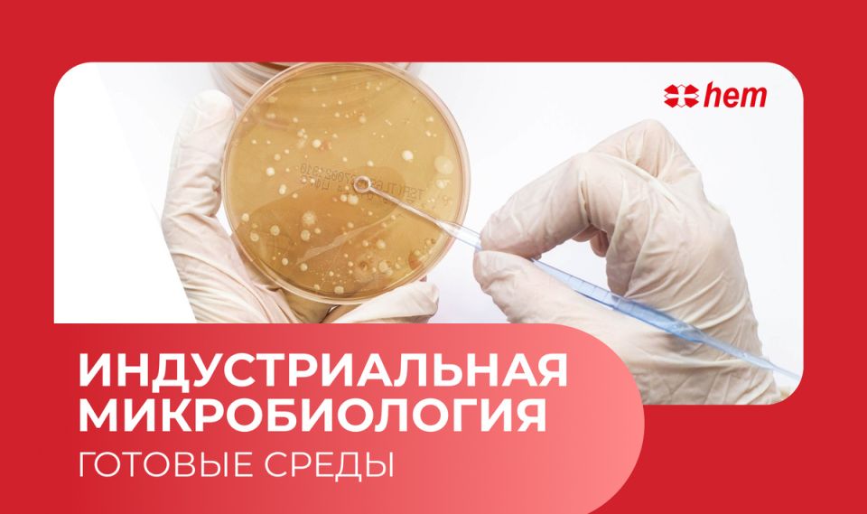 ���� �������� ������� � ������� ��������������