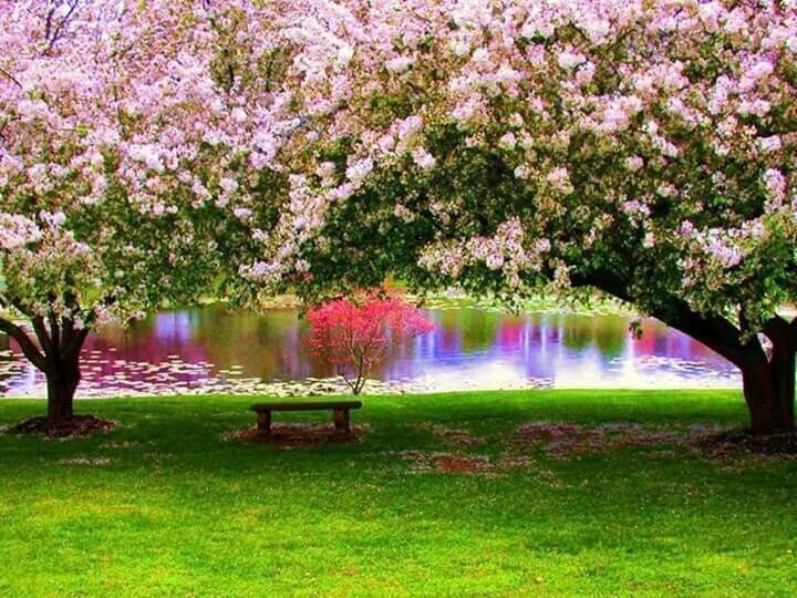 ��� ������������ �� ���������� ������ �� ���� � �����������