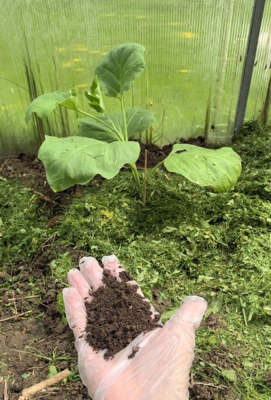 ������� �������� ������� ����������: ��� �������� ��� ������� ������?