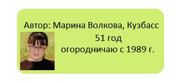 Мульча из старого укрывного материала: оригинальный способ борьбы с сорняками