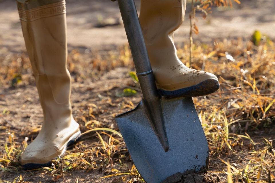 Осенняя перекопка огорода: мифы и реальность